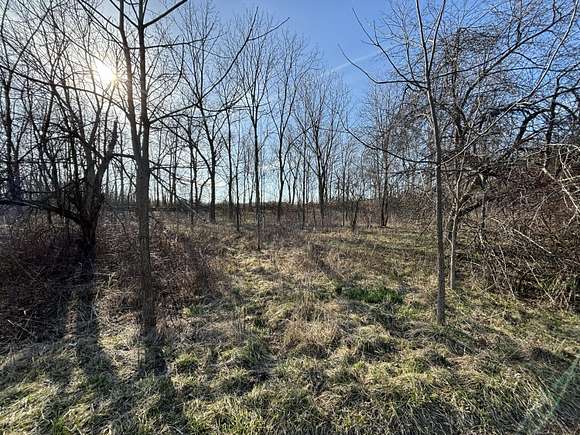 45.5 Acres of Land for Sale in Westville, Indiana