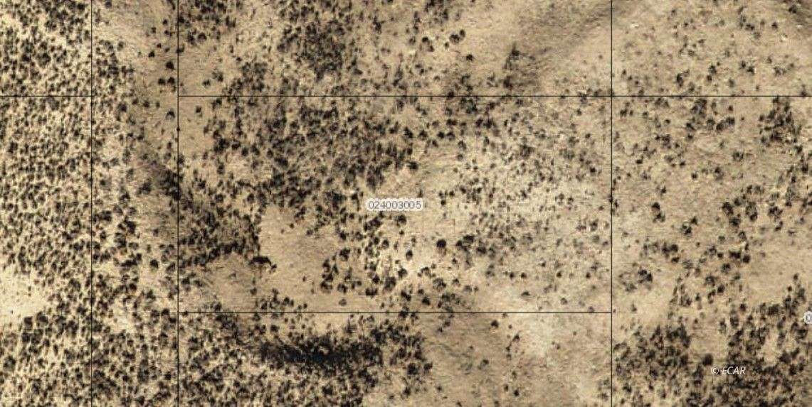 1 Acre of Residential Land for Sale in Ryndon, Nevada