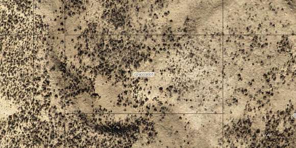 1 Acre of Residential Land for Sale in Ryndon, Nevada