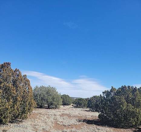 2 Acres of Residential Land for Sale in Show Low, Arizona