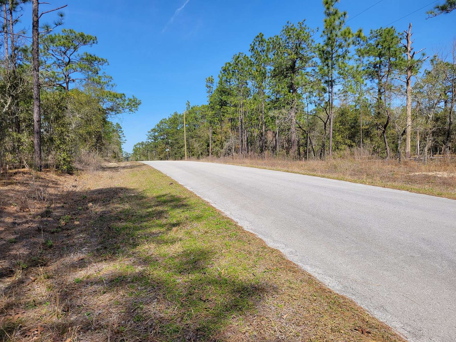 0.54 Acres of Land for Sale in Dunnellon, Florida