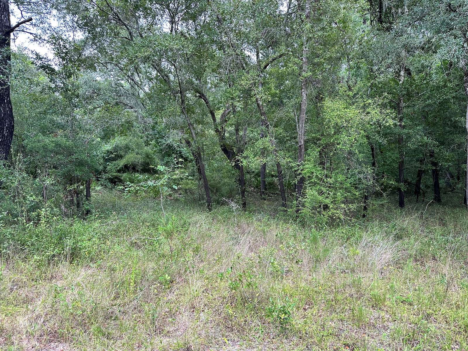 0.25 Acres of Land for Sale in Live Oak, Florida