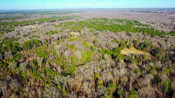 65 Acres of Recreational Land & Farm for Sale in Clarksville, Texas