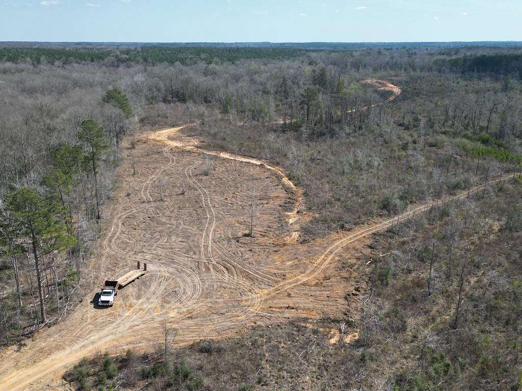 60.1 Acres of Land for Sale in Osyka, Mississippi