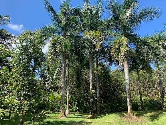 2 Acres of Residential Land with Home for Sale in Keaau, Hawaii