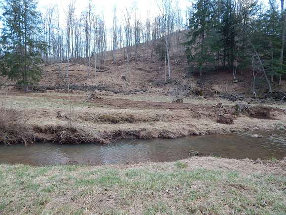 30.6 Acres of Recreational Land for Sale in Harrisville, West Virginia