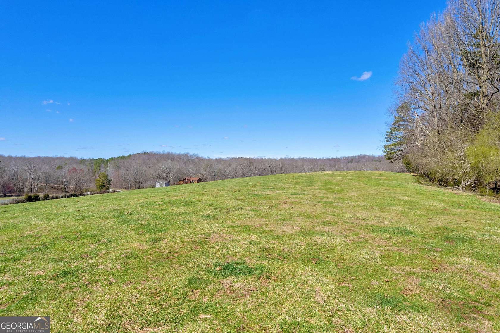 45.2 Acres of Agricultural Land for Sale in Lavonia, Georgia