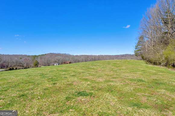 45.2 Acres of Agricultural Land for Sale in Lavonia, Georgia