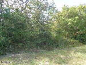 0.45 Acres of Residential Land for Sale in Altha, Florida