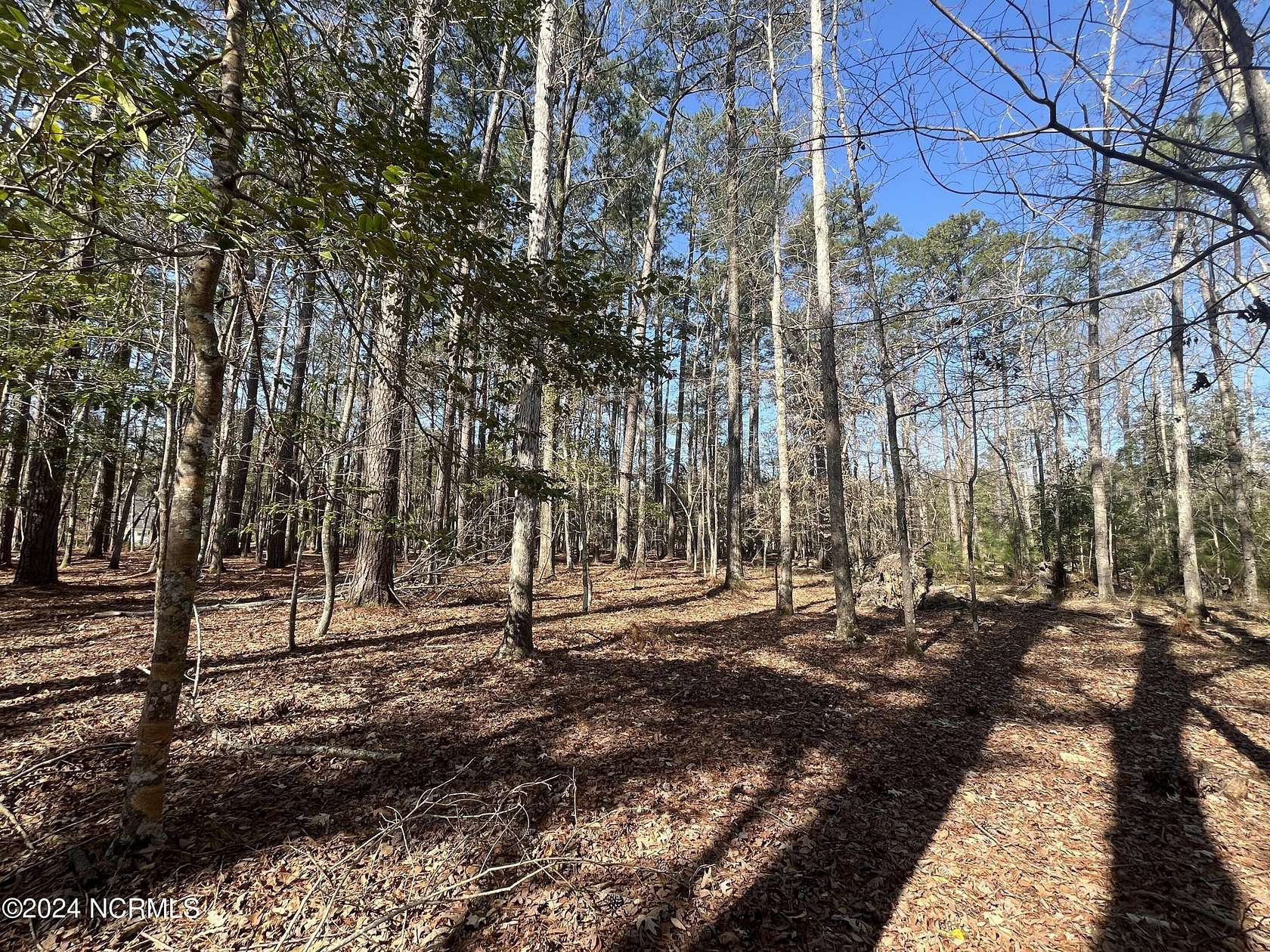 3.6 Acres of Residential Land for Sale in Oriental, North Carolina