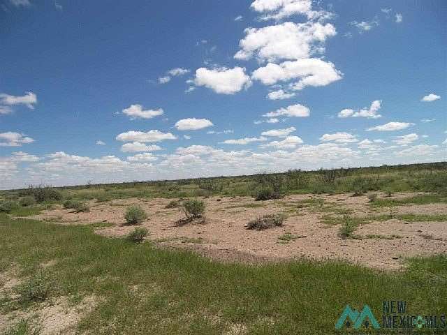 1 Acre of Land for Sale in Deming, New Mexico