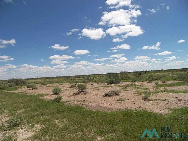 1 Acre of Land for Sale in Deming, New Mexico