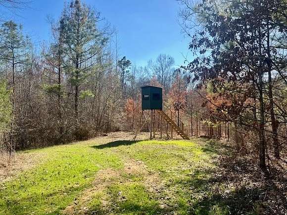 116 Acres of Recreational Land & Farm for Sale in Union Church, Mississippi