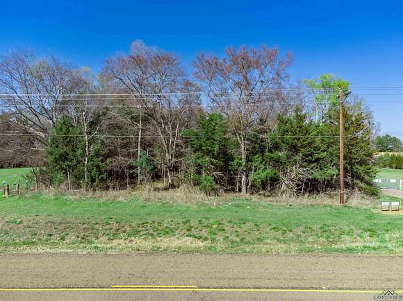 16.8 Acres of Recreational Land for Sale in Longview, Texas