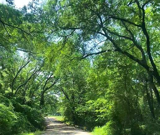1.5 Acres of Residential Land for Sale in Payne Springs, Texas