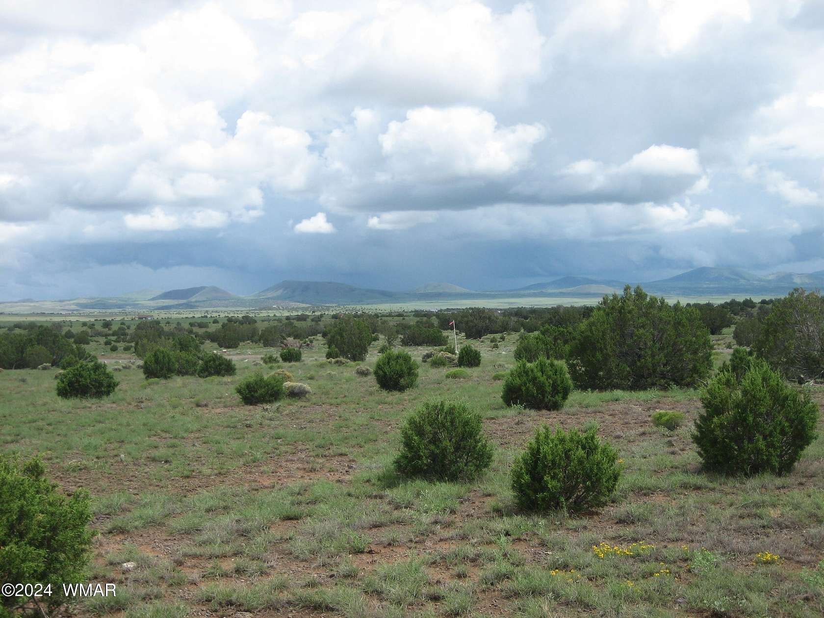 5.1 Acres of Residential Land for Sale in Concho, Arizona