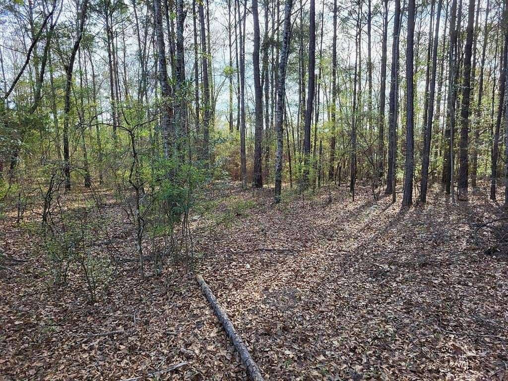 0.63 Acres of Residential Land for Sale in Abbeville, Alabama