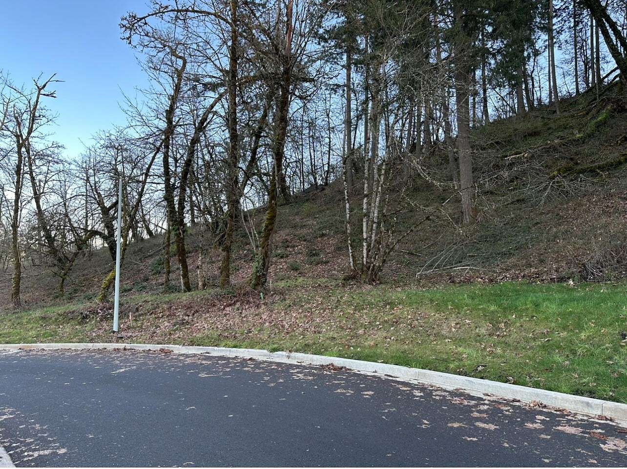 0.18 Acres of Residential Land for Sale in Eugene, Oregon