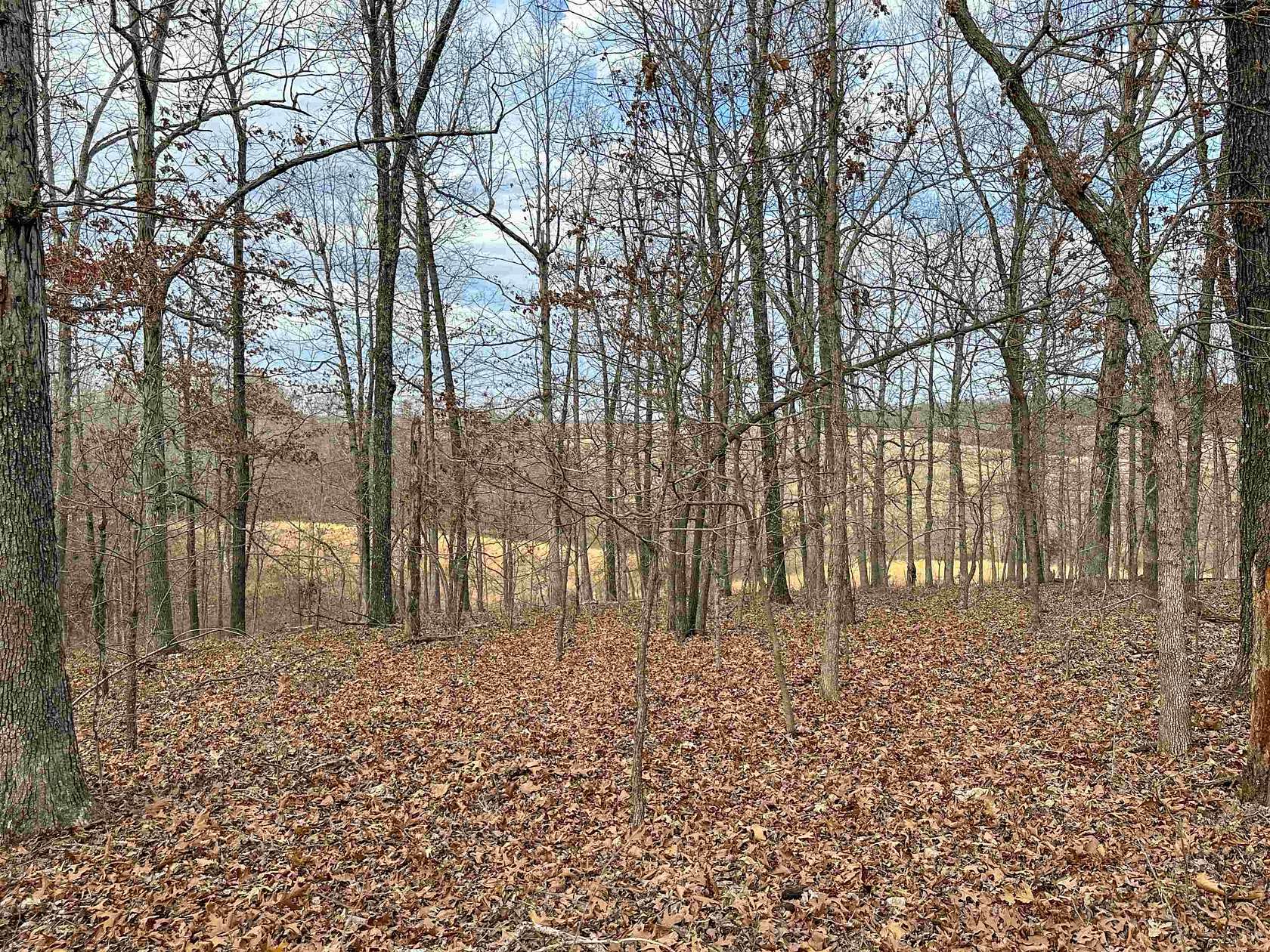 28 Acres of Land for Sale in Mammoth Spring, Arkansas