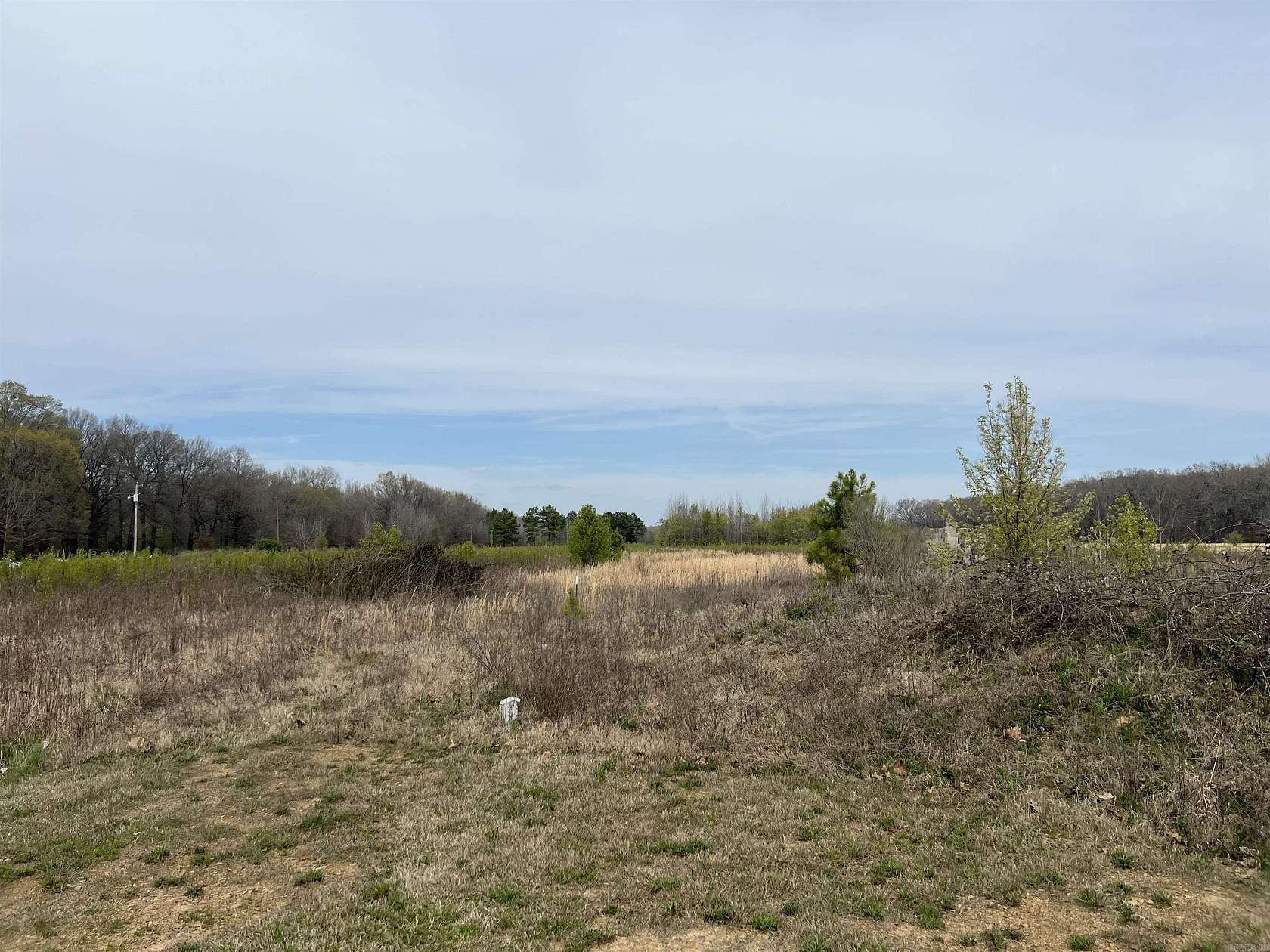25 Acres of Land for Sale in Lonoke, Arkansas