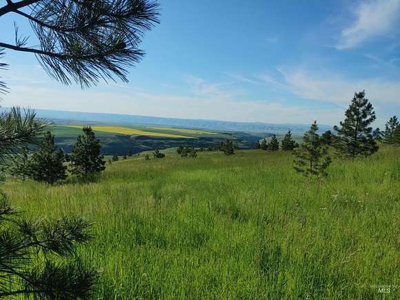 10.1 Acres of Land for Sale in Lewiston, Idaho