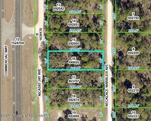 0.38 Acres of Commercial Land for Sale in Weeki Wachee, Florida