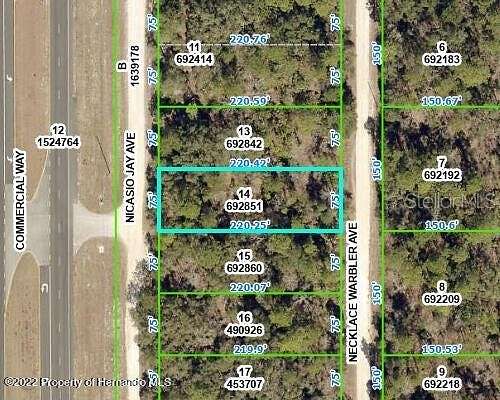 0.38 Acres of Commercial Land for Sale in Weeki Wachee, Florida