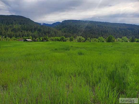 11.6 Acres of Recreational Land for Sale in Irwin, Idaho