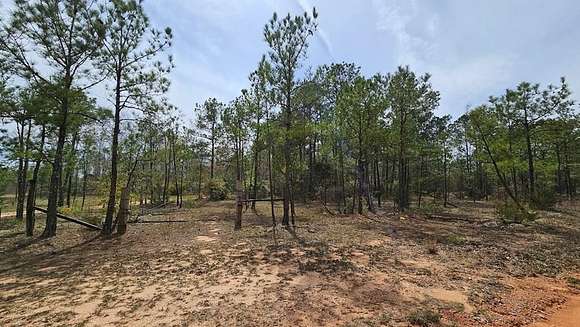 140 Acres of Recreational Land for Sale in Ariton, Alabama
