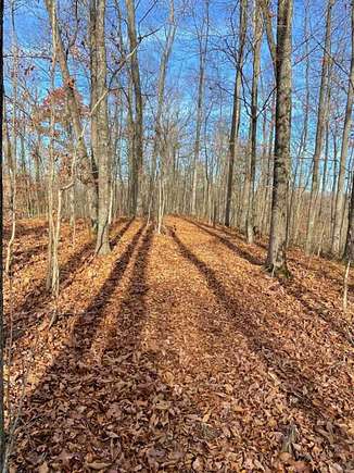 131 Acres of Agricultural Land for Sale in Pikeville, Kentucky