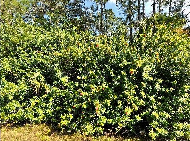 0.23 Acres of Residential Land for Sale in North Port, Florida