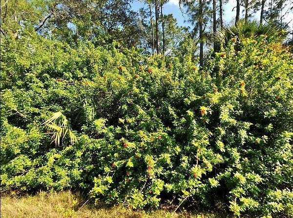 0.23 Acres of Residential Land for Sale in North Port, Florida