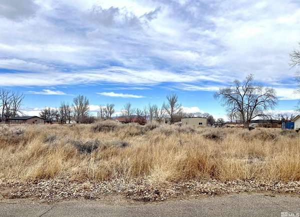 1 Acre of Residential Land for Sale in Yerington, Nevada