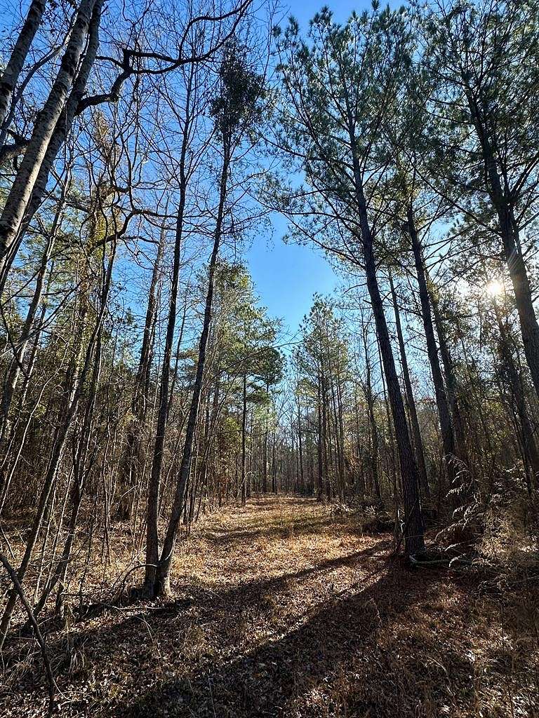 10 Acres of Recreational Land for Sale in Kosciusko, Mississippi