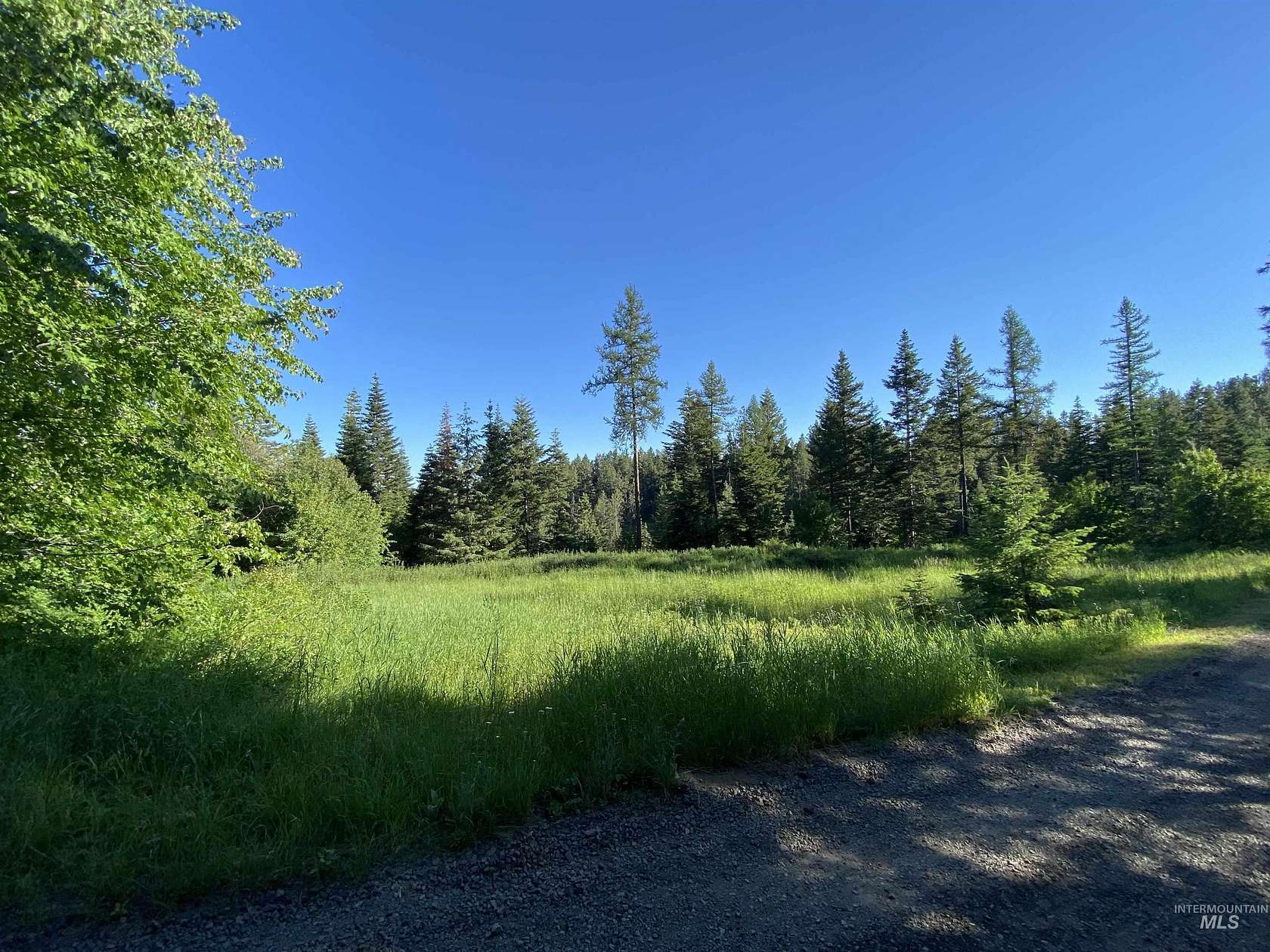 40 Acres of Recreational Land for Sale in Waha, Idaho
