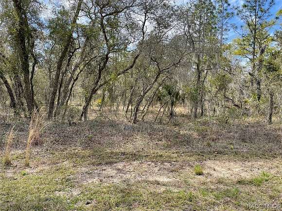 1 Acre of Residential Land for Sale in Dunnellon, Florida