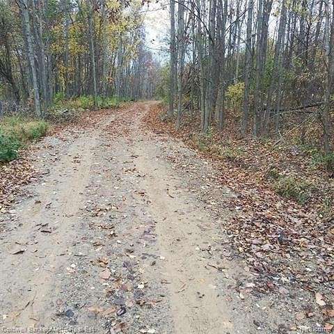 16.6 Acres of Land for Sale in Holly, Michigan