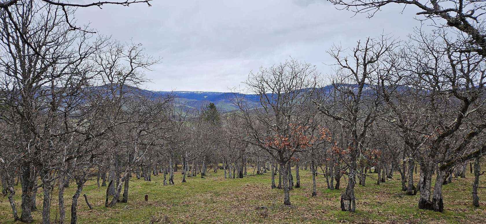 24 Acres of Agricultural Land for Sale in Ashland, Oregon