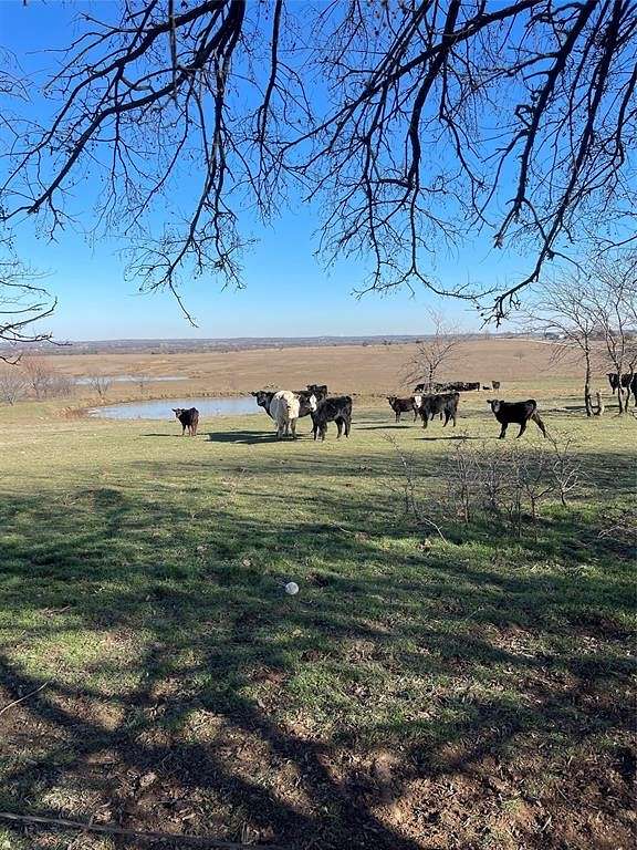 106 Acres of Land for Sale in Valley View, Texas