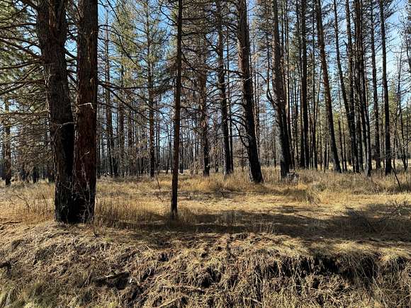 5 Acres of Recreational Land for Sale in Beatty, Oregon