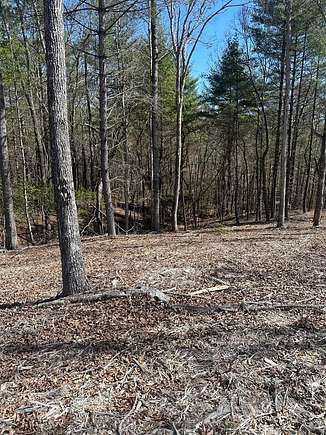 1.25 Acres of Residential Land for Sale in Morganton, Georgia