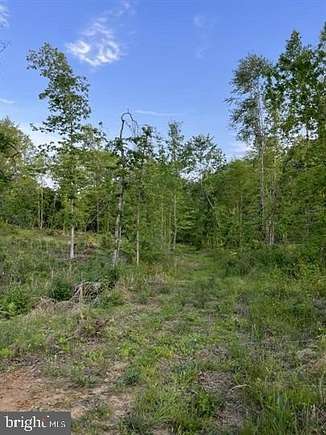 63 Acres of Land for Sale in Unionville, Virginia