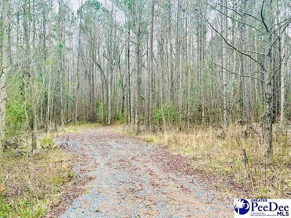 6.6 Acres of Residential Land for Sale in Cheraw, South Carolina