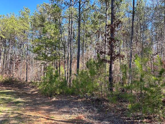 541 Acres of Recreational Land for Sale in Ramer, Alabama