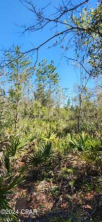 80 Acres of Land for Sale in Fountain, Florida