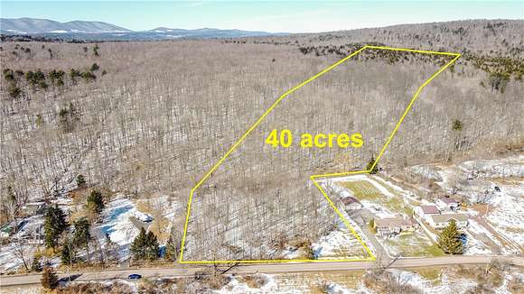 40 Acres of Recreational Land for Sale in Prattsville, New York