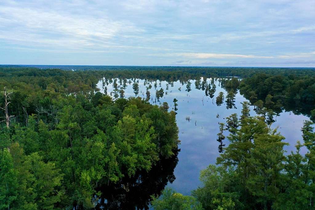 1.2 Acres of Residential Land for Sale in Wewahitchka, Florida