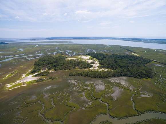 1,500 Acres of Agricultural Land for Sale in Townsend, Georgia