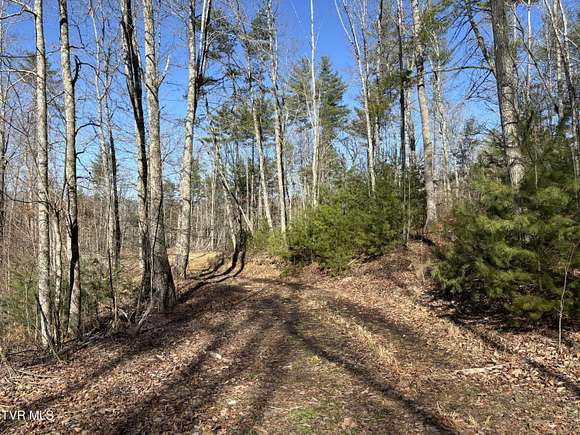 21 Acres of Recreational Land for Sale in Mountain City, Tennessee