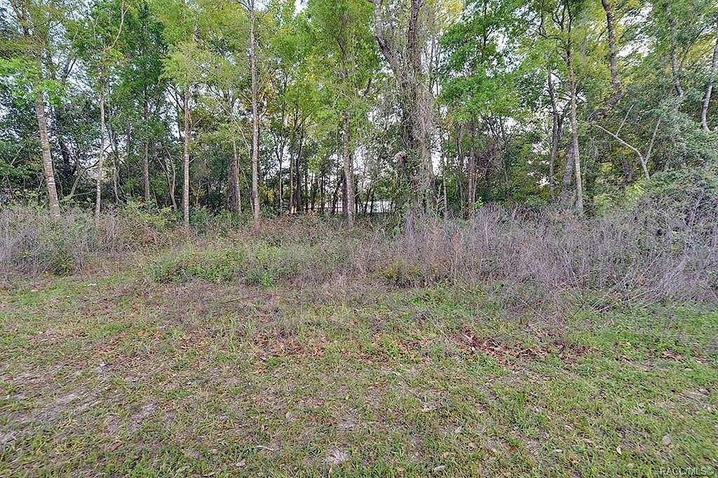 0.38 Acres of Residential Land for Sale in Crystal River, Florida